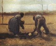 Vincent Van Gogh Peasant and Peasant Woman Planting Potatoes (nn04) oil painting reproduction